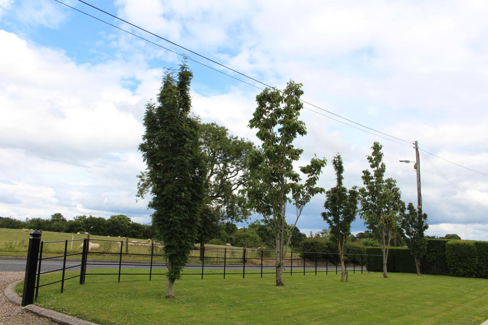 Contemporary Countryside Home Dromore  외부 사진